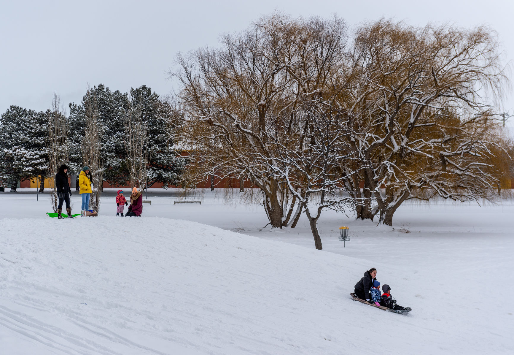 Sledding around
